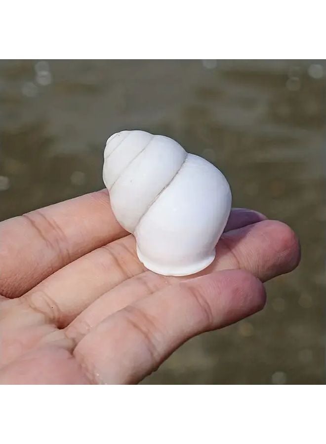 White Snail Shell Aquarium Decor 1pc Glossy Enamel Conch Nordic Style Fish Tank Ornament - Image 1
